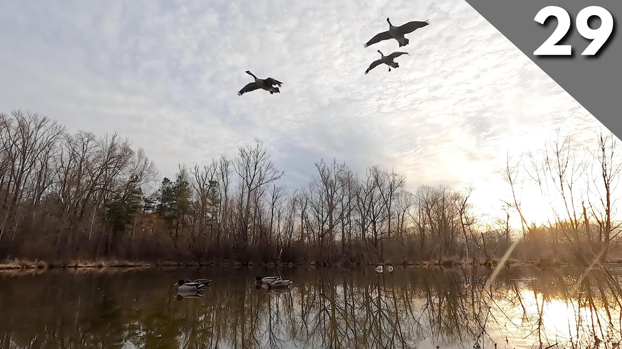 We Setup On The X By Accident Duck Hunting 2022 YouTube