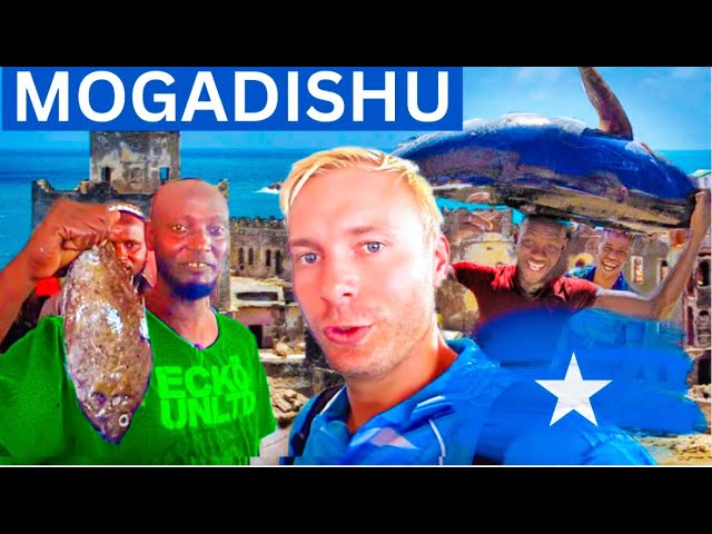 The Mogadishu Fish Market 🇸🇴 (Somalia) class=