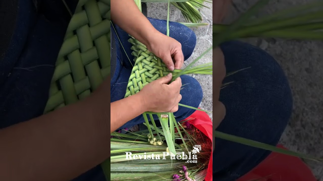 Cómo hacer Palma para Domingo de Ramos