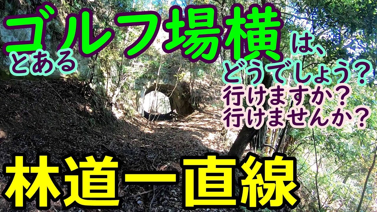 [Прямая лесная дорога] Лесная дорога Тиба, рядом с полем для гольфа