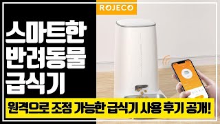 고양이와 개를 위한 필수템! 자동 식품 디스펜서 사용 후기