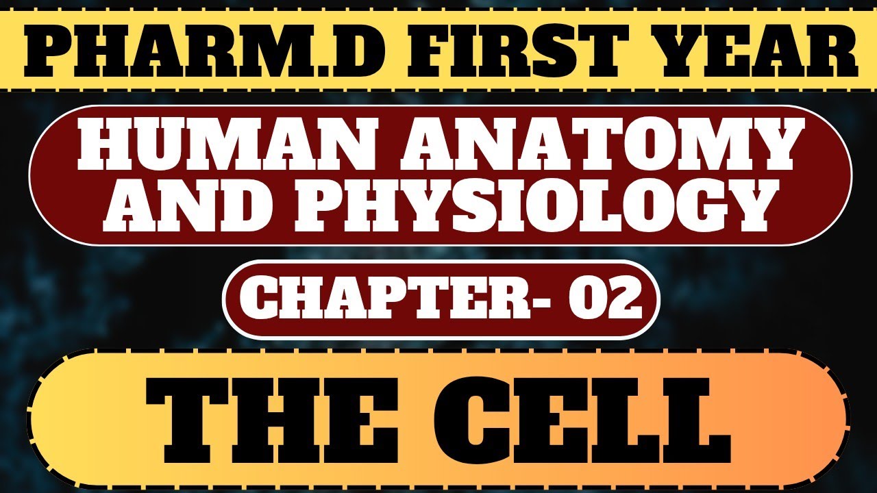 CHAPTER 02 : THE CELL | PHARM.D FIRST YEAR | HUMAN ANATOMY AND ...