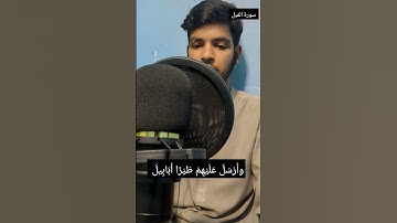 سورة الفيل♥️♥️♥️