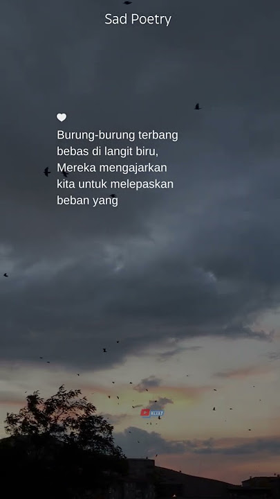 Video Puisi Sedih #puisi #puisipopular #puisibaper