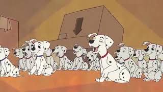 Hmv This Is The Night