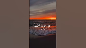 أرح سمعك 🤍🌿 ستوريات انستا قران كريم ايات قرانية قصيرة || حالات واتس قران صوت #القارئ_يوسف_الصقير 🤍🌿