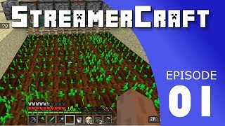 StreamCraft: Episode 1 - Fixing my food problems!