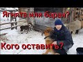 Устроили субботник на хуторе .Выздоравливает ли ягнёнок? Помогите придумать название маминому каналу