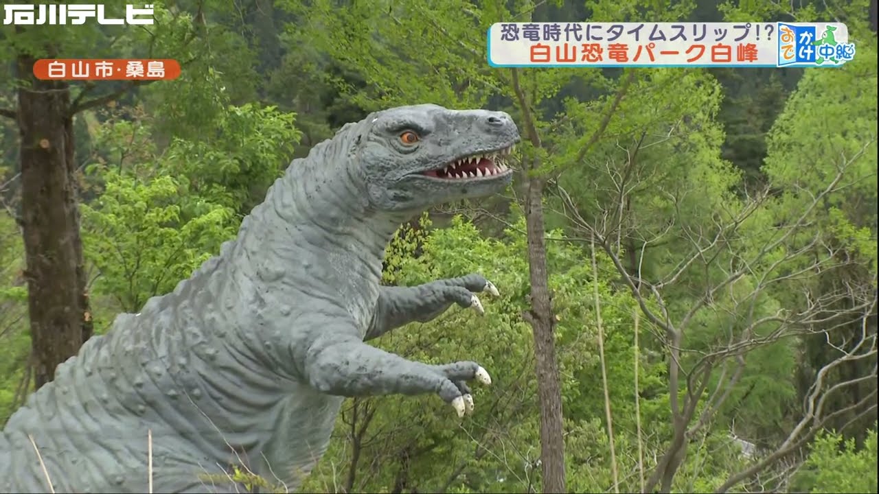 恐竜時代にタイムスリップ！？白山恐竜パーク白峰（おでかけ中継