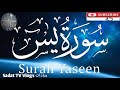 Surah yasin yaseen  by sadat tv vlogs  