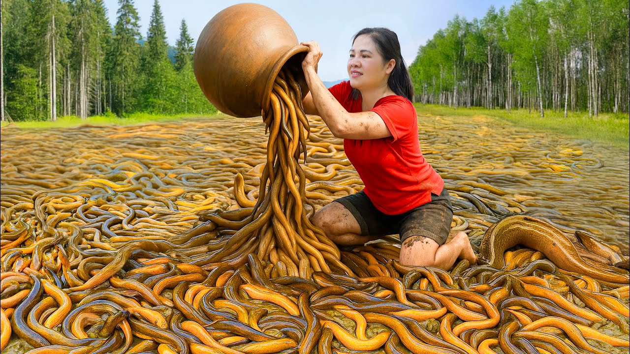 Harvesting Komodo Eel & Go to Market Sell | Rescued python Anaconda From Fish Trap | Garden Life