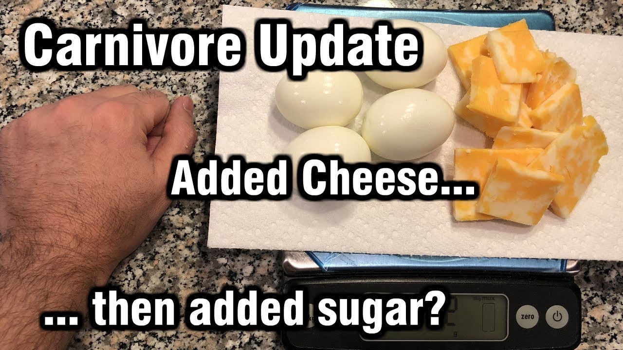 #Carnivore diet update - adding cheese, then adding carbs and why - YouTube