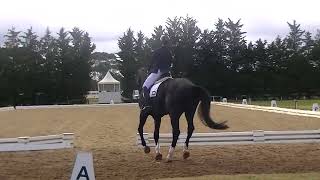 Wpvdc Winter Competition