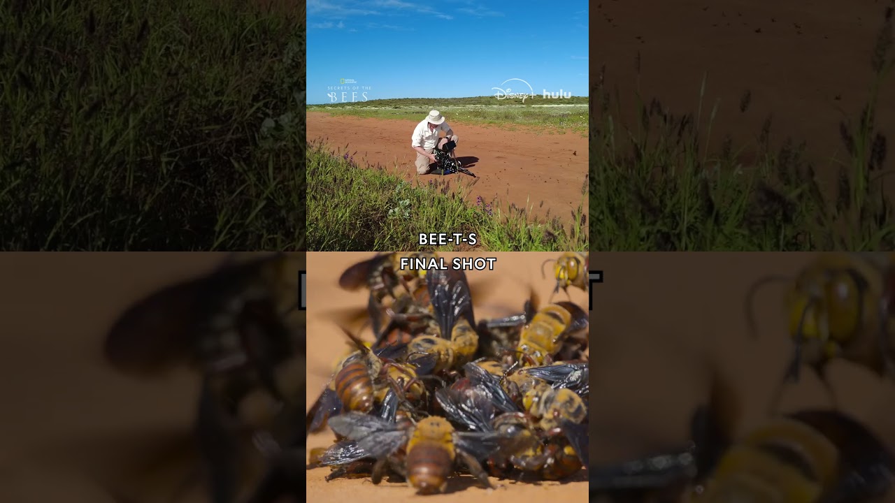 Bee-hind the scenes on #SecretsOfTheBees 🎥
