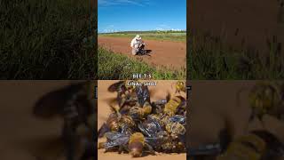 Bee-hind the scenes on #SecretsOfTheBees 🎥