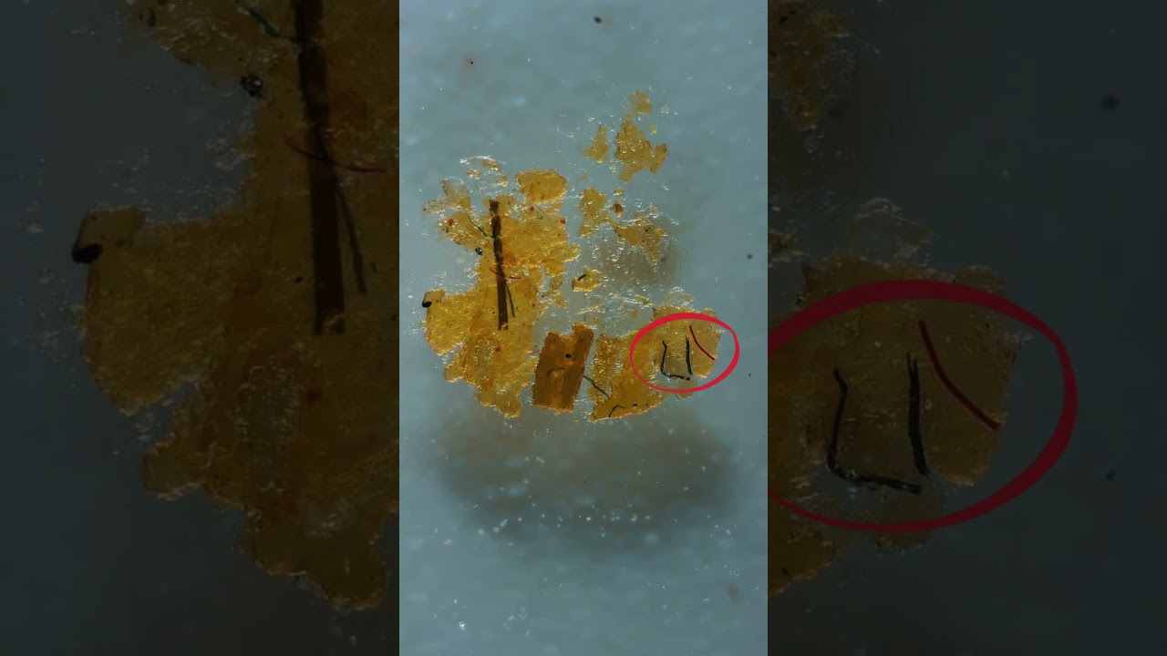 Earbuds Under The Microscope!