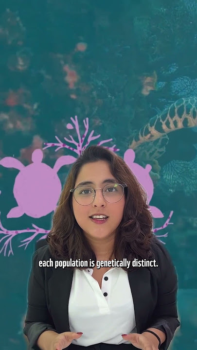 A strand of DNA can reveal a ton of secrets, and for sea turtles, it might just be a life changer!