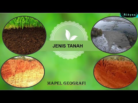 Video: Jenis tanah apa yang digarap?