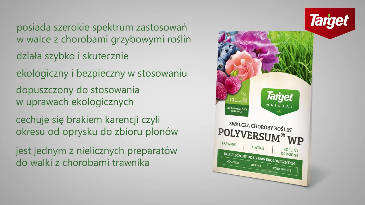 polyversum