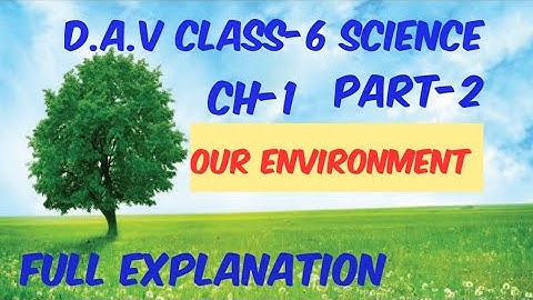 Our Environment DAV Class 6 Science Chapter 1|Full Explanation in Hindi Part-2||ADARSH 999
