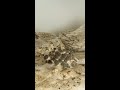 Un champignon ne pousse pas comme une plante #shorts