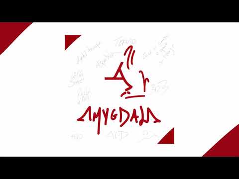 Ácido Sulfúrico - Amygdala