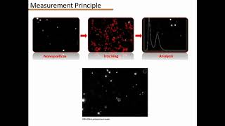 Nanoparticle Tracking Analysis (NTA)