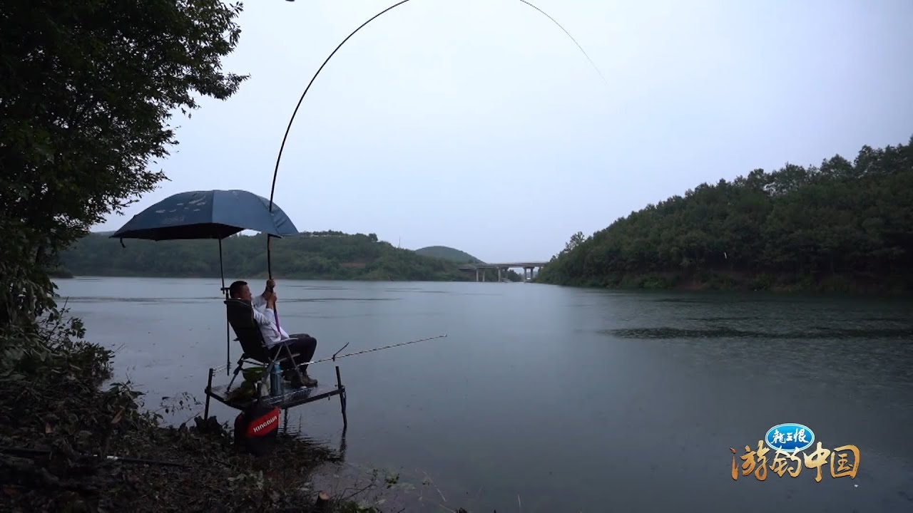 2020.02.05《游钓中国》第六季 第3集 故地重游丹江口 武当山下垂钓翁 Fishing tour in China【游钓中国栏目组】