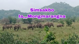 Simsakba ia mongmana,,,Bajeng aro Rongsai regipa