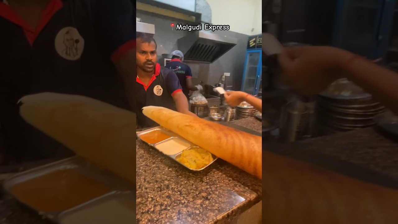 Pune Best South Indian Food || Malgudi Express - Commerzone IT Park 