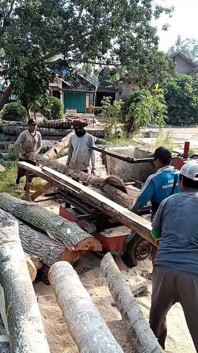 SUASANA DI PANGLONG KAYU #PANGKLONG #kayu #viralvideo #shortvideo  #fypシ゚viral