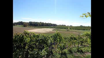 Vineyard Site Selection | Part 3 - The Valley - Grape Video #41