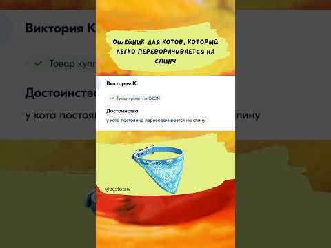 Качественный ошейник для котов 💯🐈