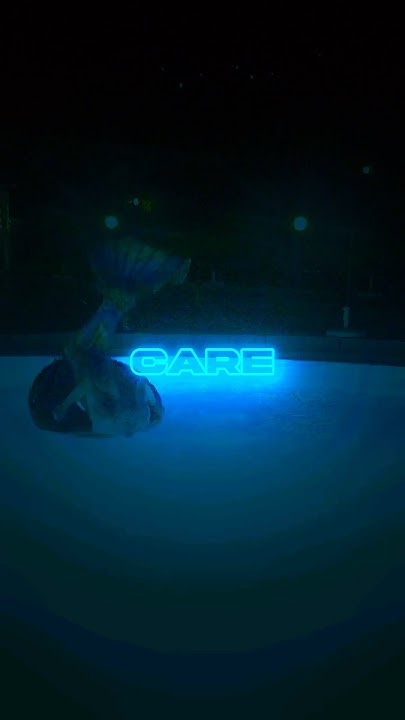 I Still Believe In Your Eyes Tiesto I still believe in your eyes. 👀🧜‍♂️💦 - YouTube