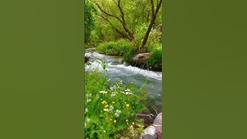 ايات خاشعة من سورة المؤمنون#اكسبلور #المصحف #flowers #لايك #قران_كريم