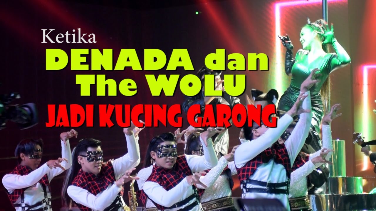 REDAKO : KETIKA DENADA DAN THE WOLU JADI KUCING GARONG