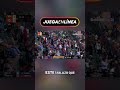¡Jonrones Épicos y la Victoria del Zulia! ¡Vibras del Béisbol! #shorts
