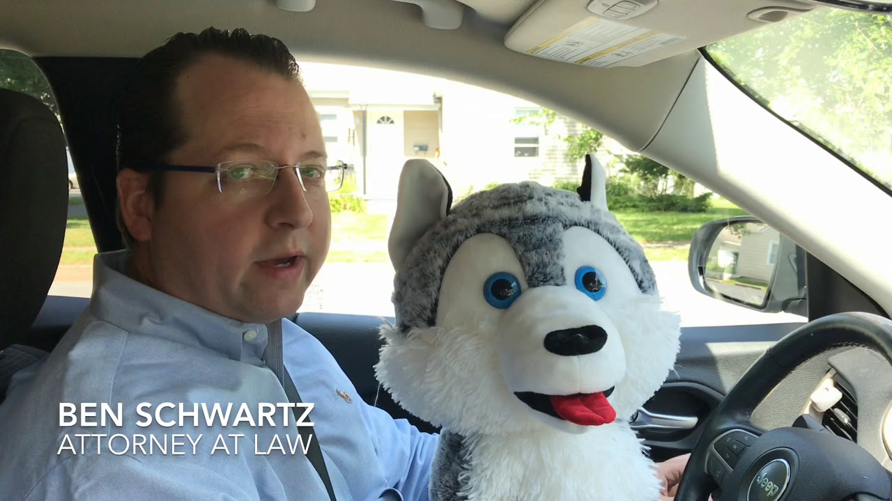 It's a Terrible Idea to Drive with a Dog On Your Lap While Driving