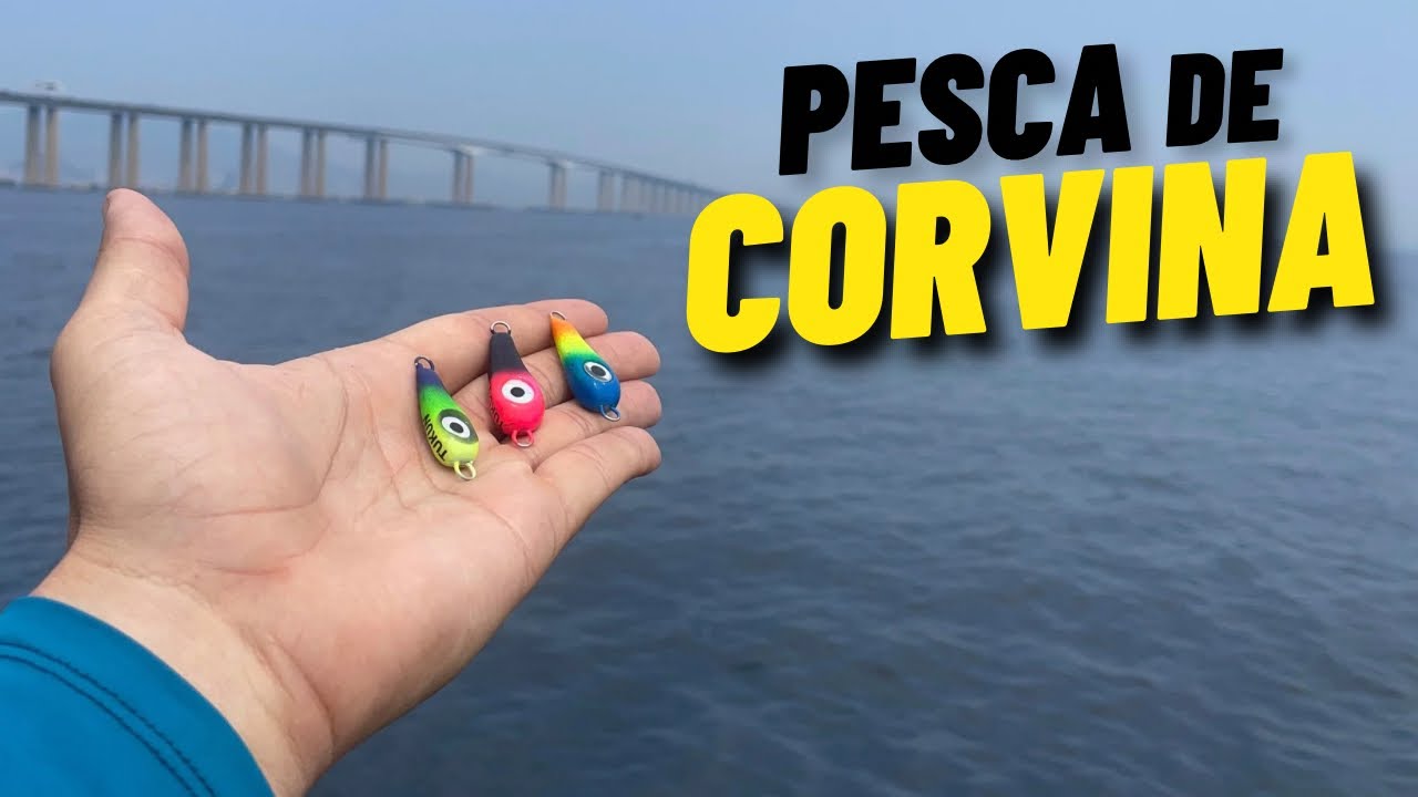 ESSA ISCA PEGA MUITO PEIXE! PESCARIA DE CORVINA COM ISCA ARTIFICIAL JUMPING JIG! BAHIA DE GUANABARA.