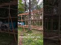 Five star ⭐️ jungle logistics #baliproperty #luxuryvillas #villaconstruction