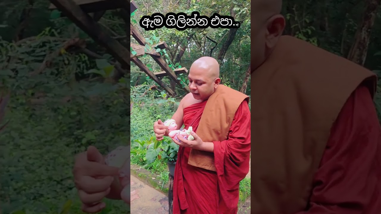 ඇම ගිලින්න එපා 