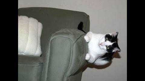 Cursed images with The Caretakers It