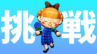 【あつ森】ゼロから「青バラ」を咲かせましょう【最難関】