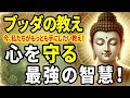 【ブッダの教え】ブッダが教える「心を守る 最強の智慧」良くも悪くも〇〇する！