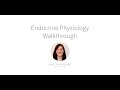 Lt Human Physiology | Endocrine Physiology Lab Walkthrough