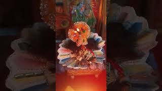 Krisna #status #laddu kipooja#Radr#Rade#viral #song #sorts #video