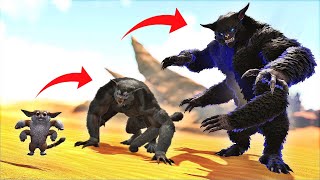 O Ferox Invejoso EVOLUIU Para CELESTIAL BLACK FEROX EM 24 HORAS!  ARK DINOSSAUROS