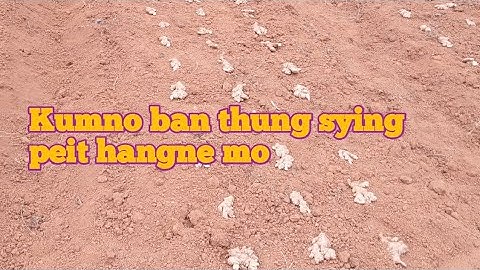 kumno ka rukom  ban thung sying peit hangne #kitborlang