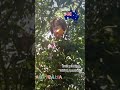 fruitpicking@jrmvidtv