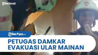 Video Lucu Damkar Bantu Warga Evakuasi UIar di Kamarnya, Ternyata Cuma Mainan, Petugas Sampai Ngakak